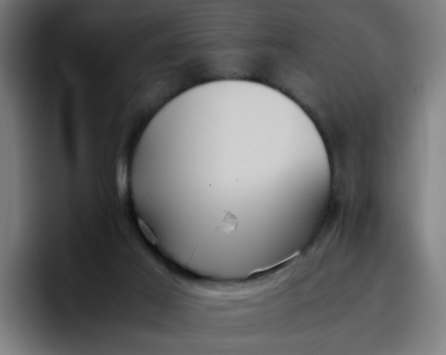 X0000096730021200802191557