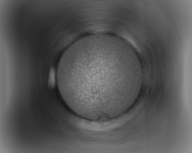 X0000096730022200802191557