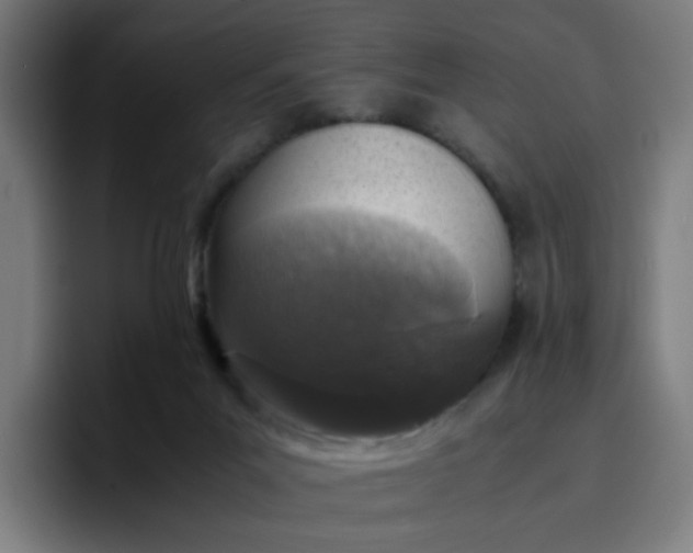 X0000096730023200802191557