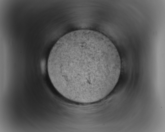 X0000096730024200802191557