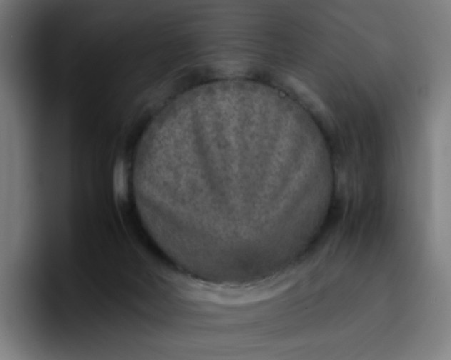 X0000096730026200802191557