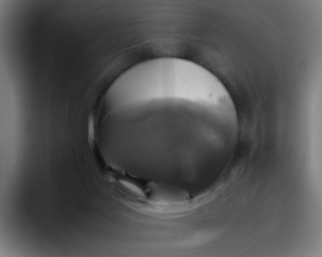 X0000096730027200802191557