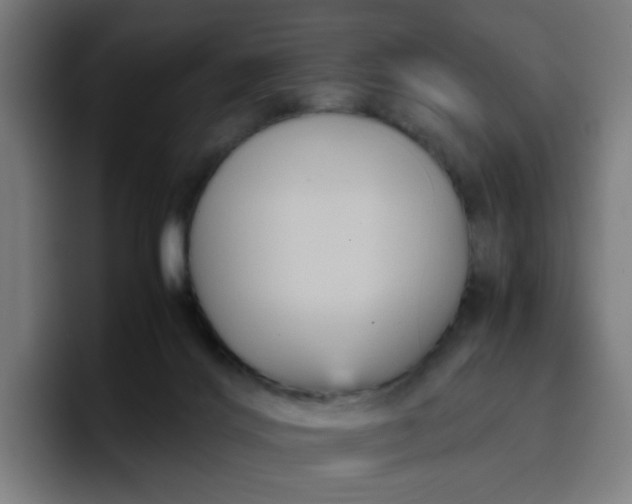 X0000096730028200802191557