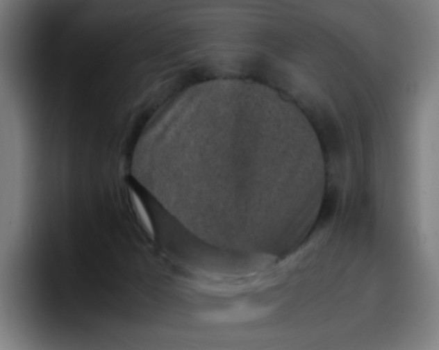 X0000096730029200802191557