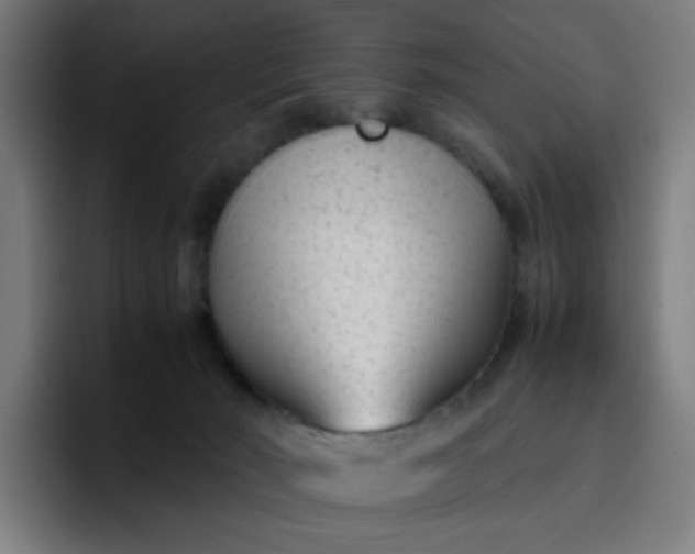 X0000096730030200802191557