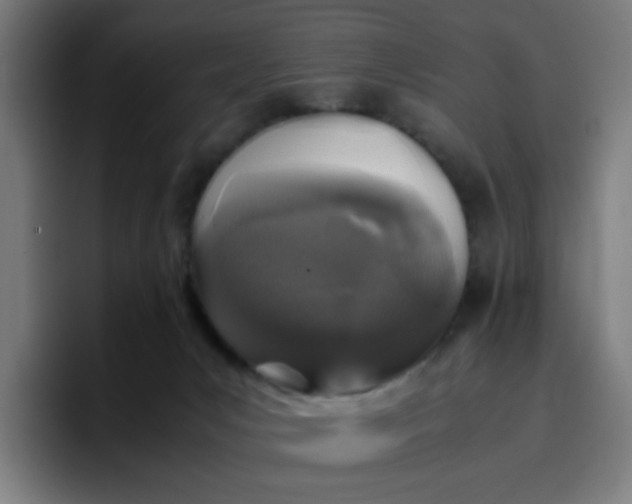 X0000096730031200802191557