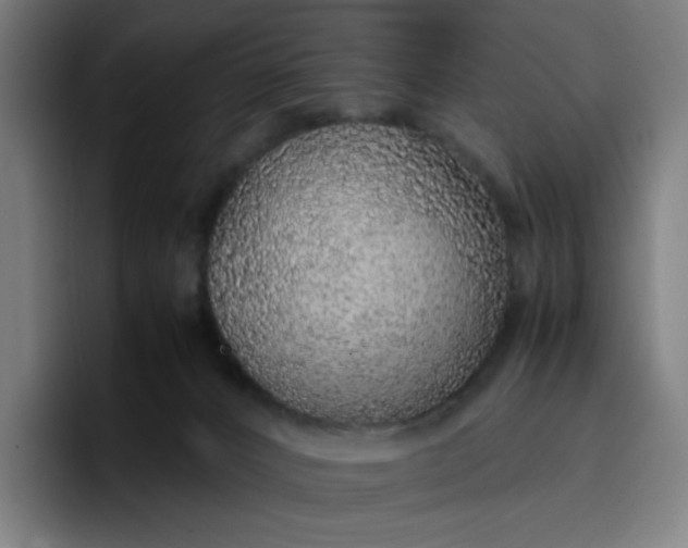 X0000096730032200802191557