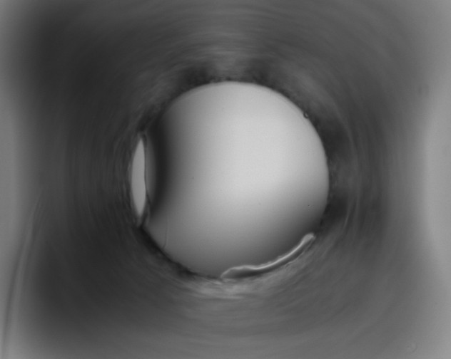 X0000096730033200802191557