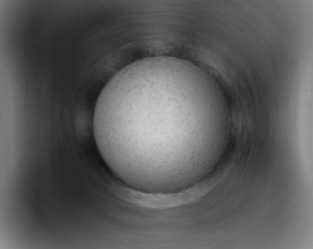 X0000096730034200802191557