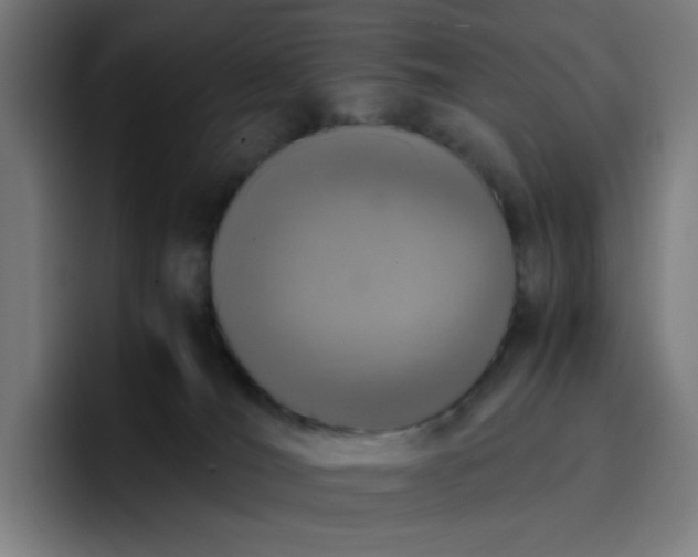 X0000096730036200802191557