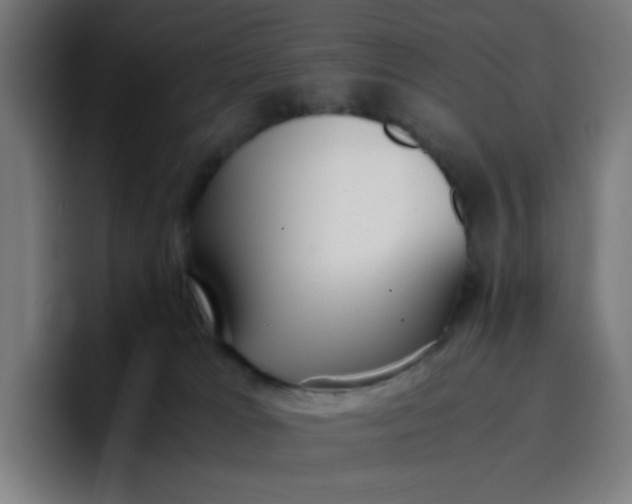 X0000096730037200802191557