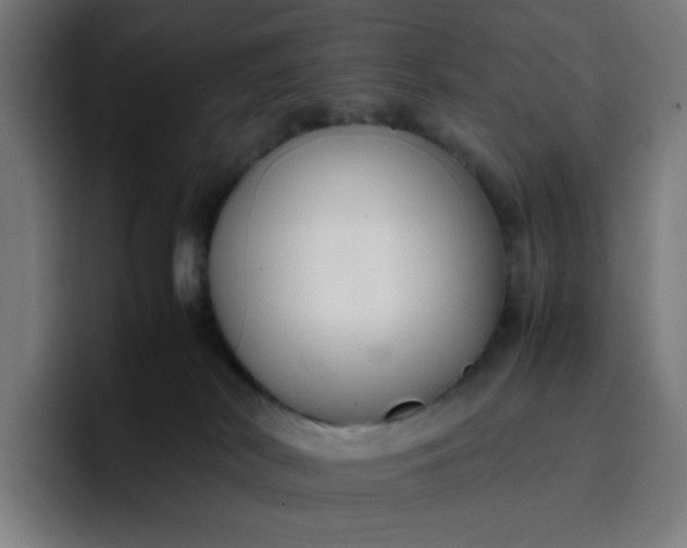 X0000096730038200802191557