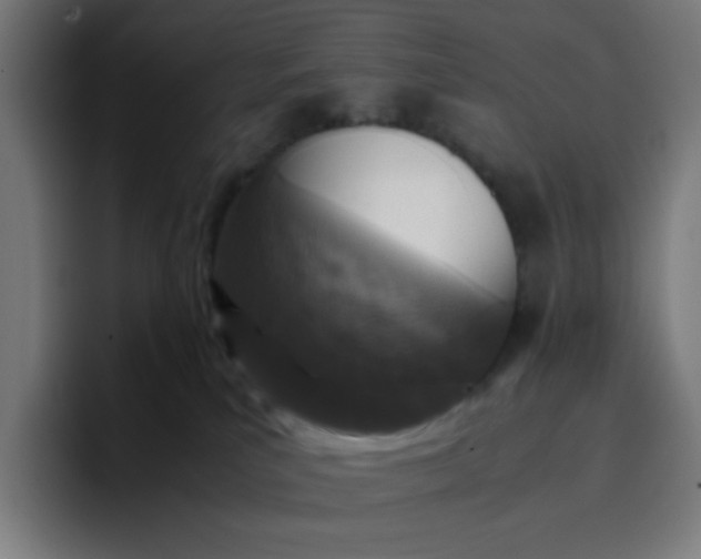 X0000096730039200802191557