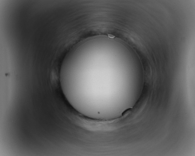 X0000096730040200802191557