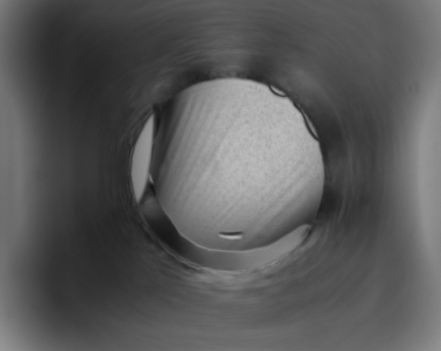 X0000096730041200802191557