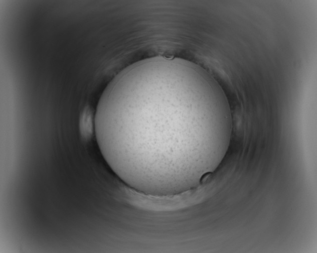 X0000096730042200802191557