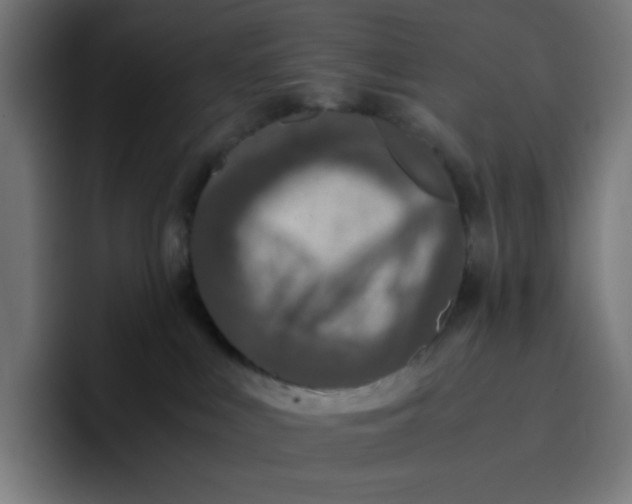 X0000096730043200802191557