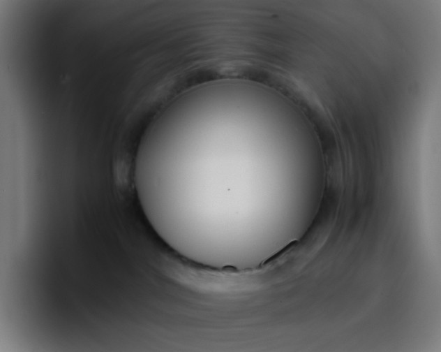 X0000096730044200802191557