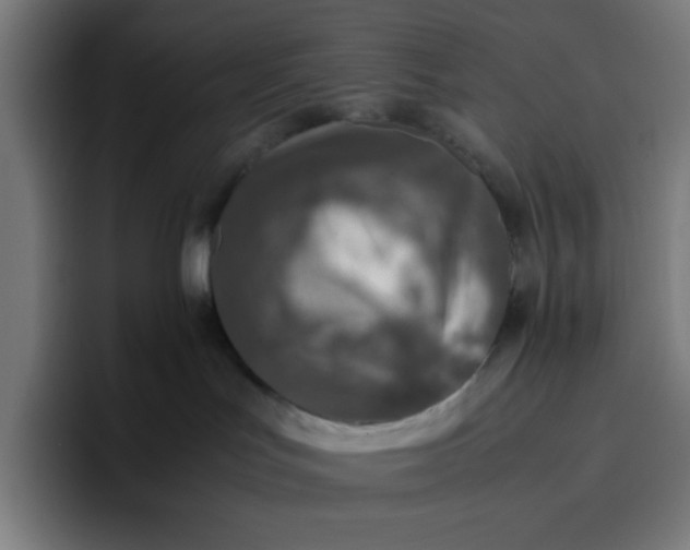 X0000096730047200802191557