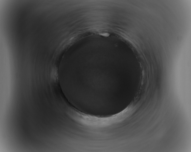 X0000096730048200802191557