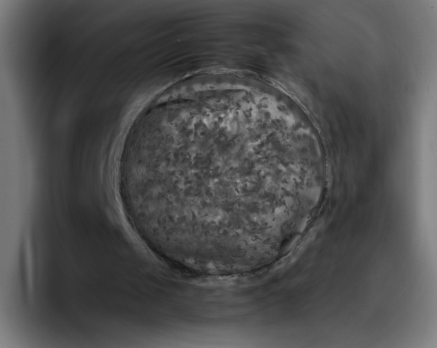 X0000096730049200802191556