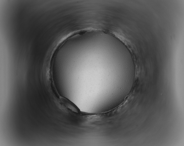 X0000096730050200802191556