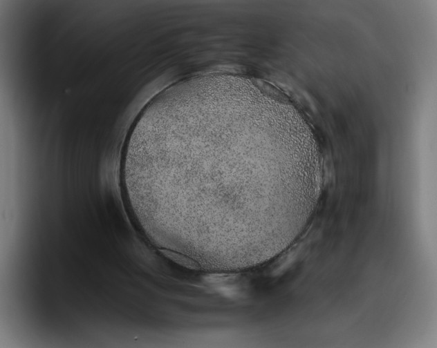 X0000096730051200802191556