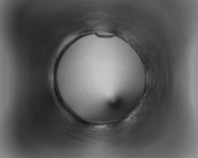 X0000096730054200802191556