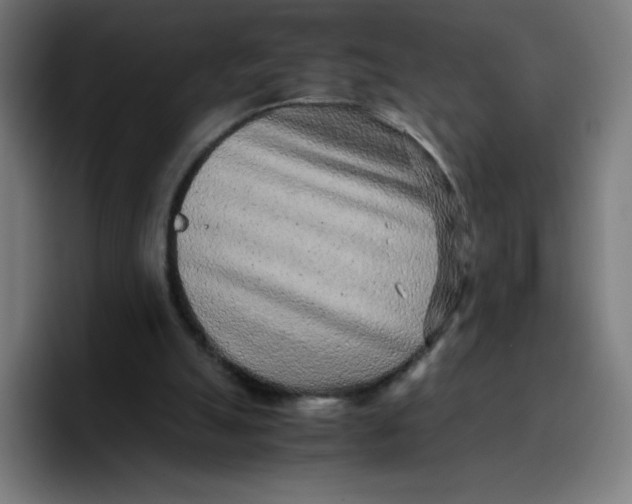 X0000096730055200802191556