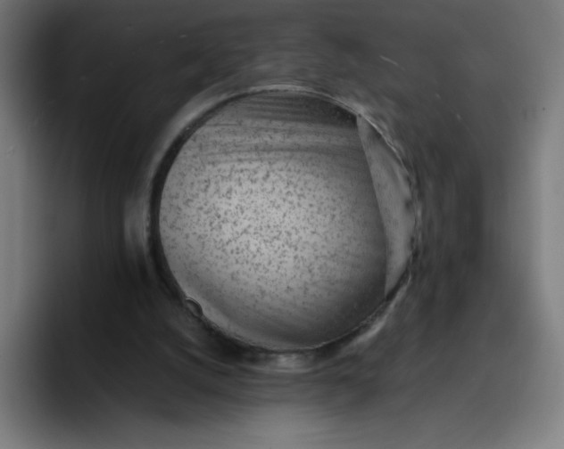 X0000096730056200802191556