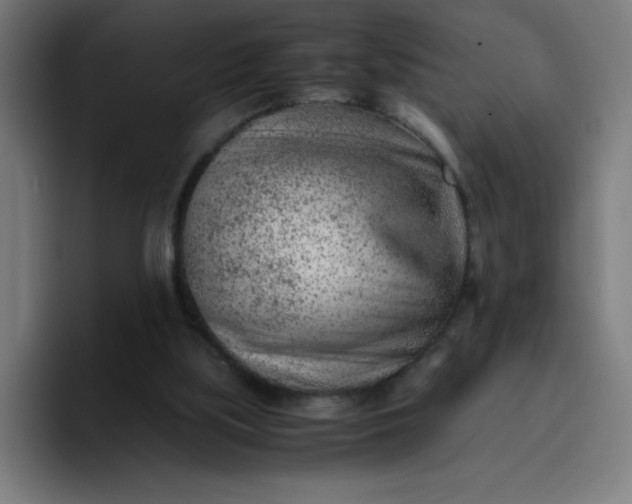 X0000096730059200802191556