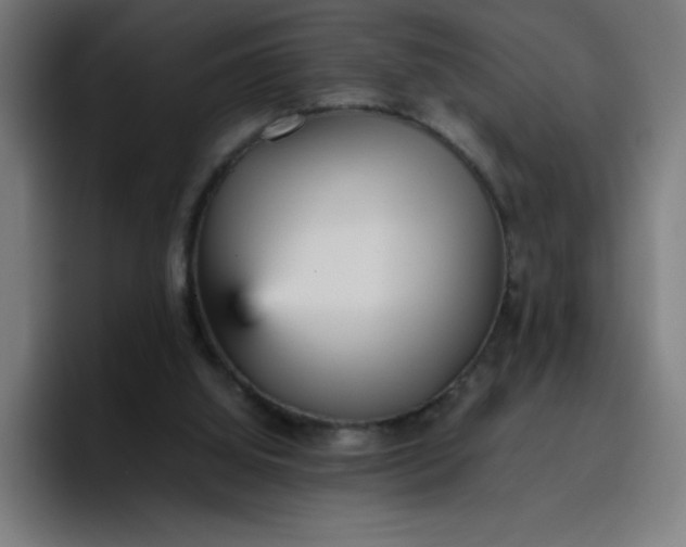 X0000096730060200802191556