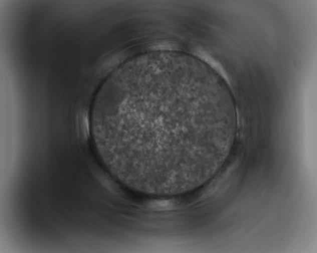 X0000096730061200802191556