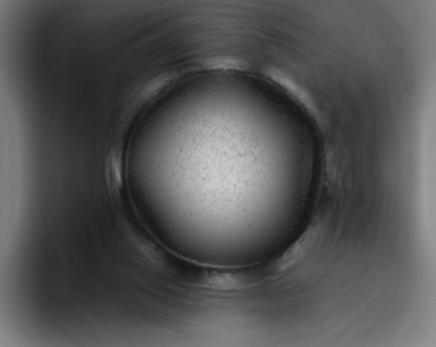 X0000096730062200802191556