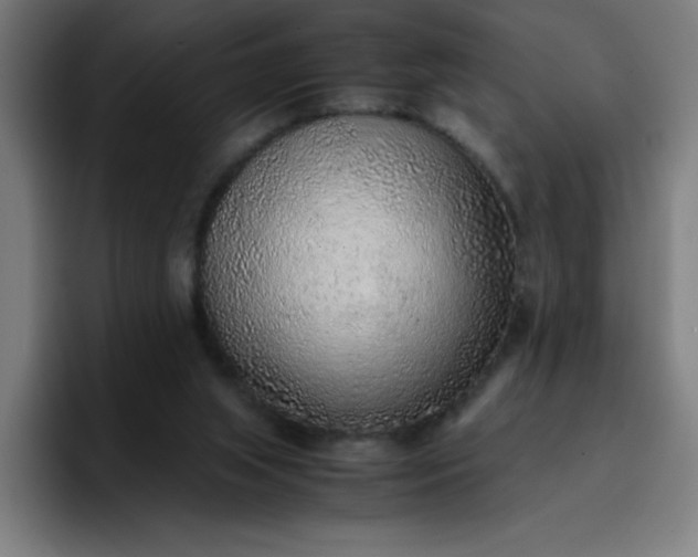 X0000096730063200802191556