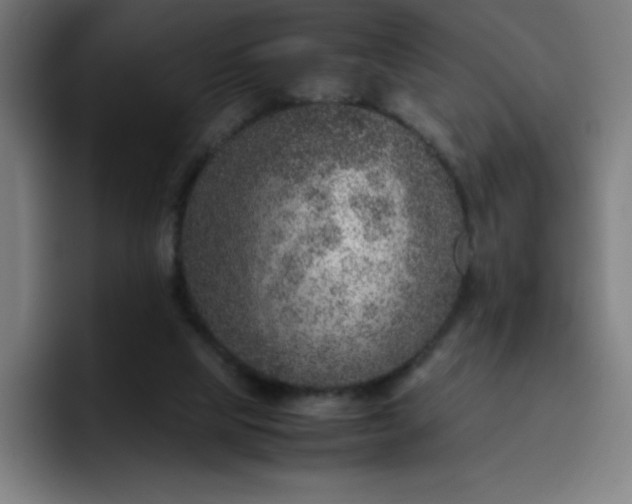 X0000096730065200802191556