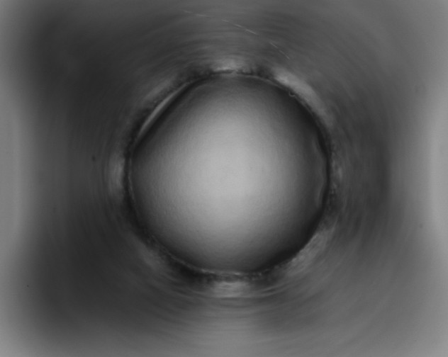 X0000096730066200802191556