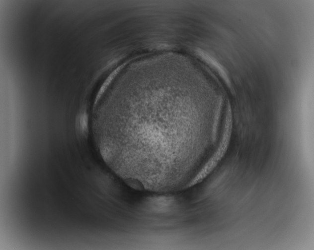 X0000096730067200802191556