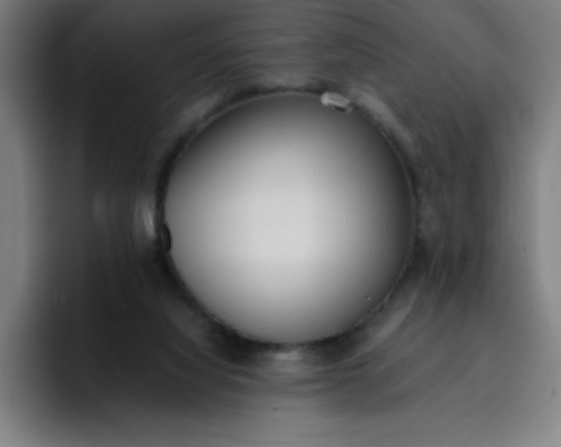 X0000096730068200802191557