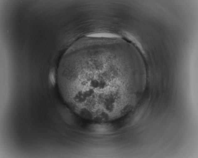 X0000096730069200802191557