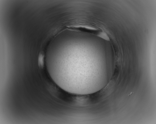 X0000096730070200802191557