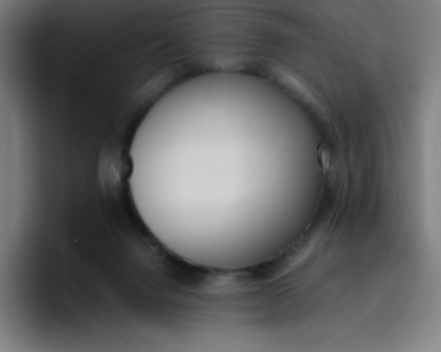 X0000096730072200802191557