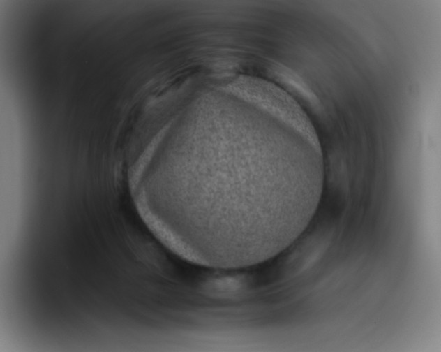 X0000096730073200802191557