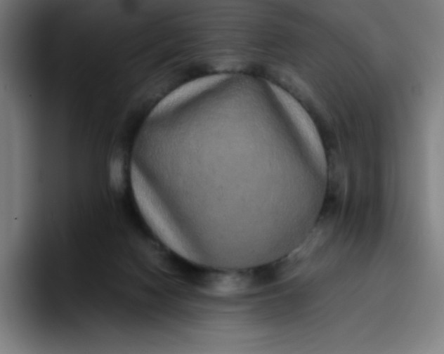 X0000096730074200802191557