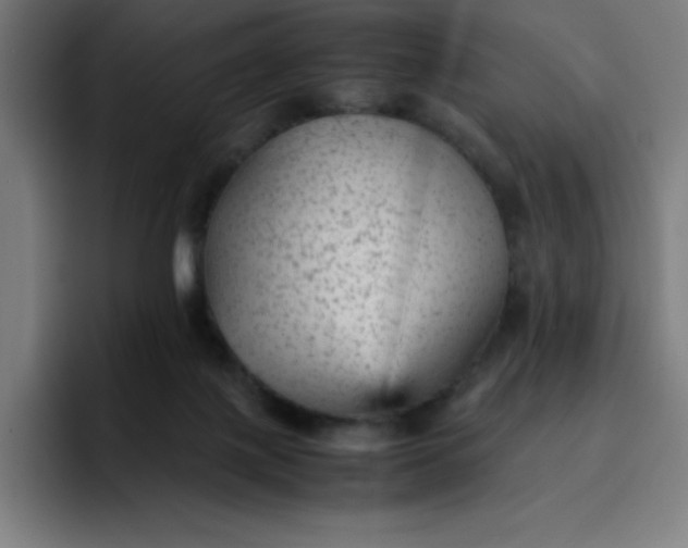 X0000096730075200802191557