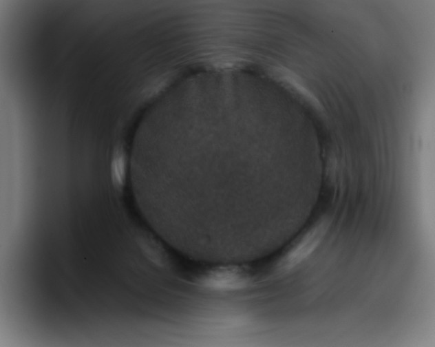 X0000096730076200802191557