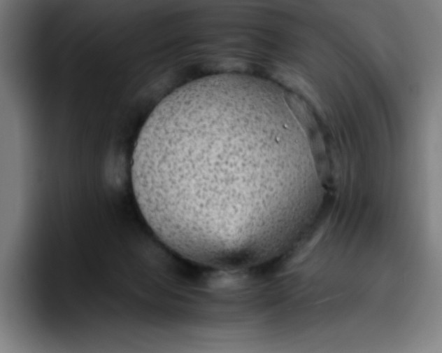 X0000096730077200802191557