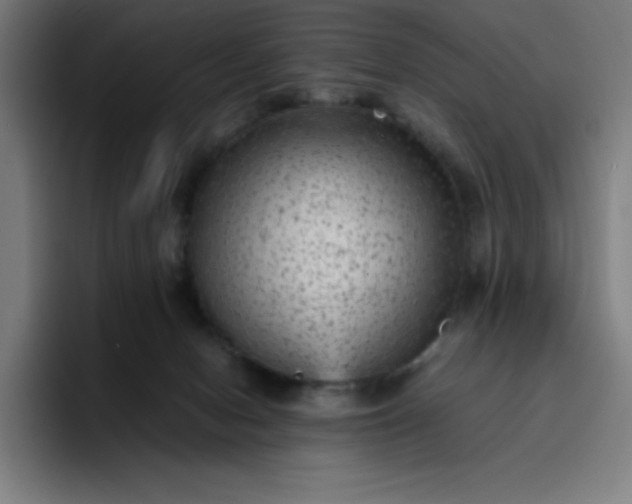 X0000096730078200802191557