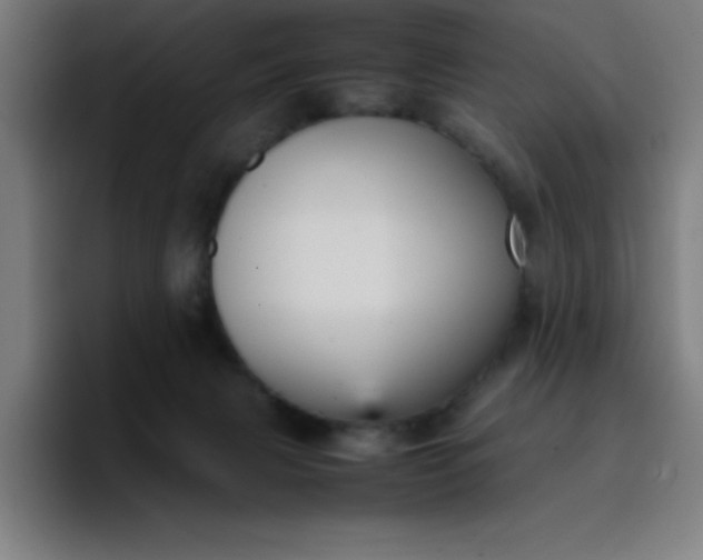 X0000096730079200802191557