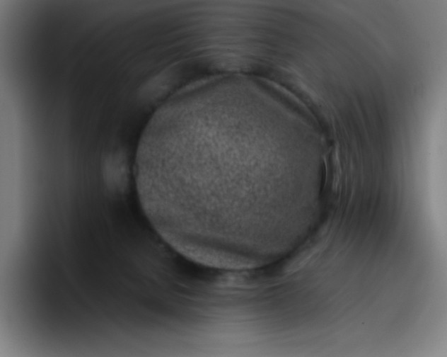 X0000096730080200802191557